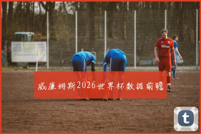 威廉姆斯2026世界杯数据前瞻
