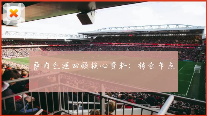 萨内生涯回顾核心资料：转会节点