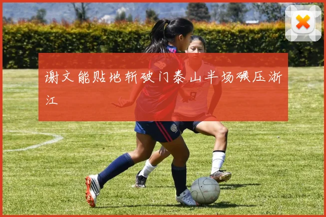 谢文能贴地斩破门泰山半场碾压浙江