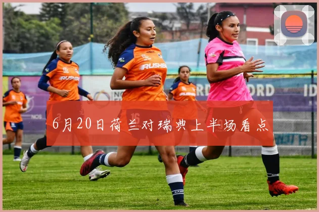 6月20日荷兰对瑞典上半场看点