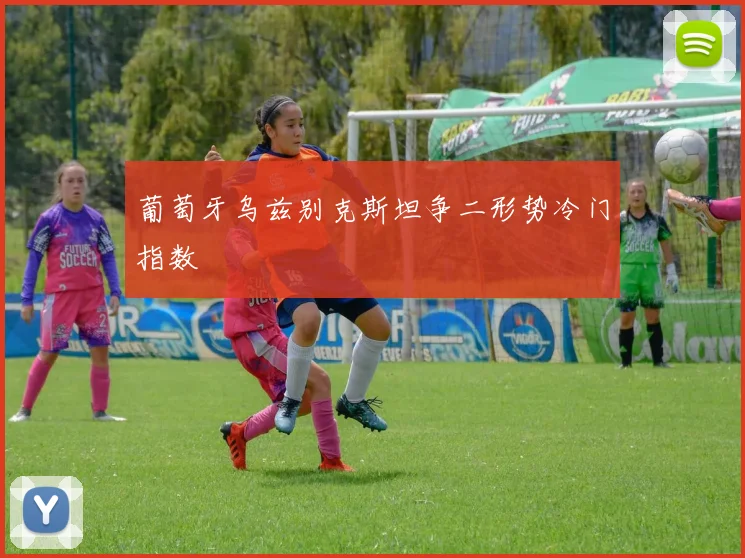 葡萄牙乌兹别克斯坦争二形势冷门指数