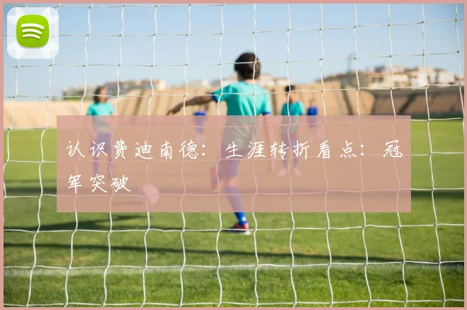 认识费迪南德：生涯转折看点：冠军突破