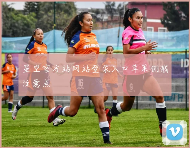 星空官方站网站登录入口苹果侧载注意点