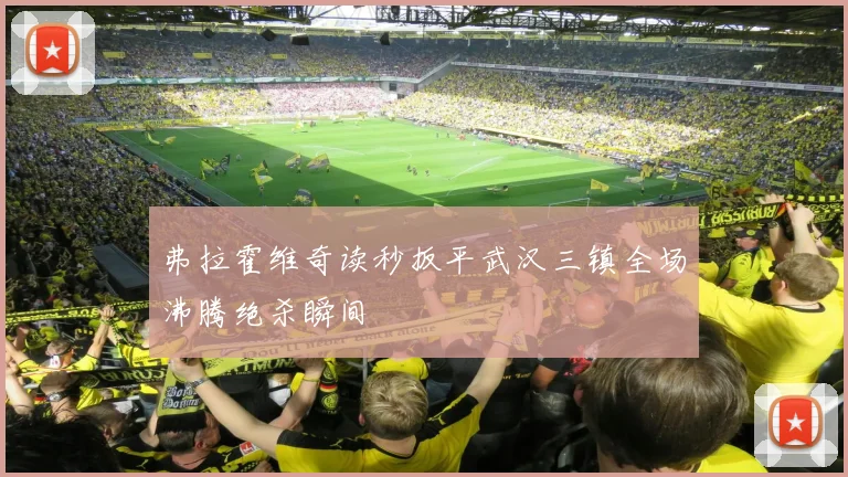 弗拉霍维奇读秒扳平武汉三镇全场沸腾绝杀瞬间