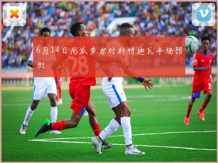 6月14日厄瓜多尔对科特迪瓦半场预测