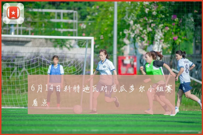 6月14日科特迪瓦对厄瓜多尔小组赛看点